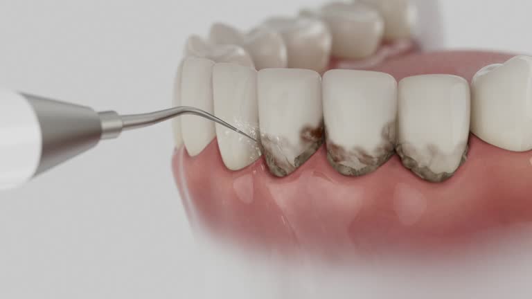 Reliable Dental contractor in Grant County County, ND by Dentist Open Now
